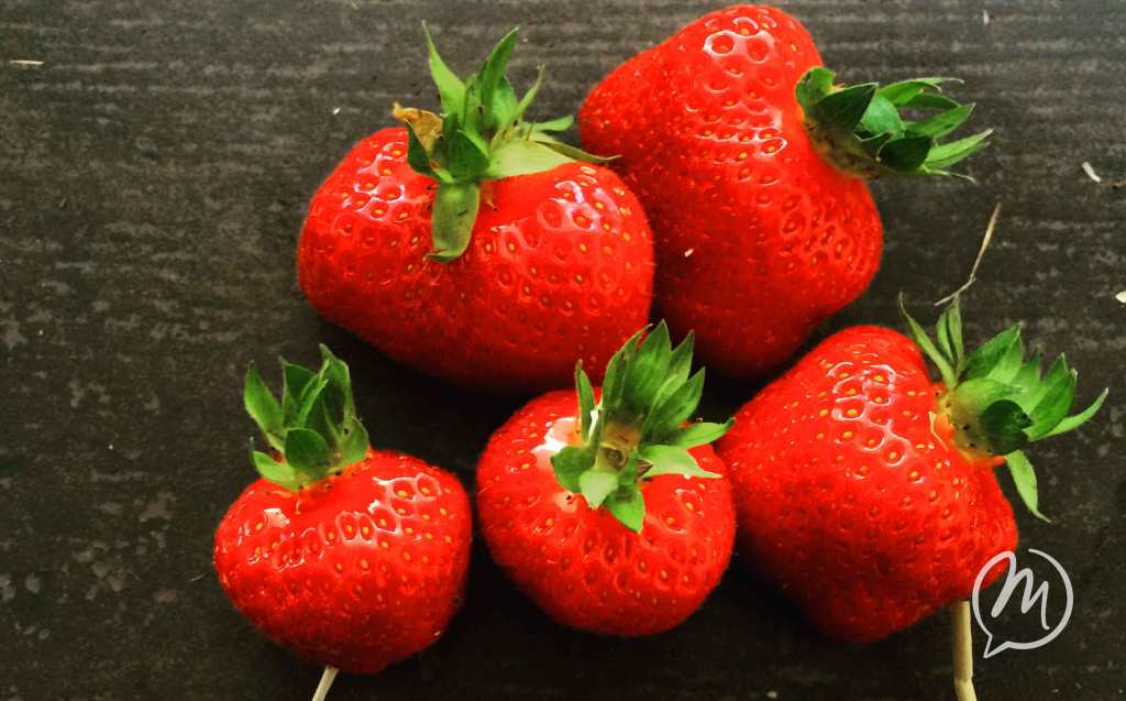 Erdbeere_melsbonheur