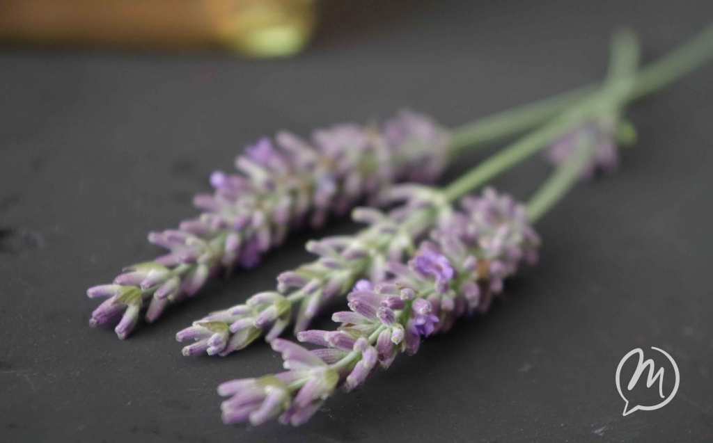 Lavendelsirup_melsbonheur