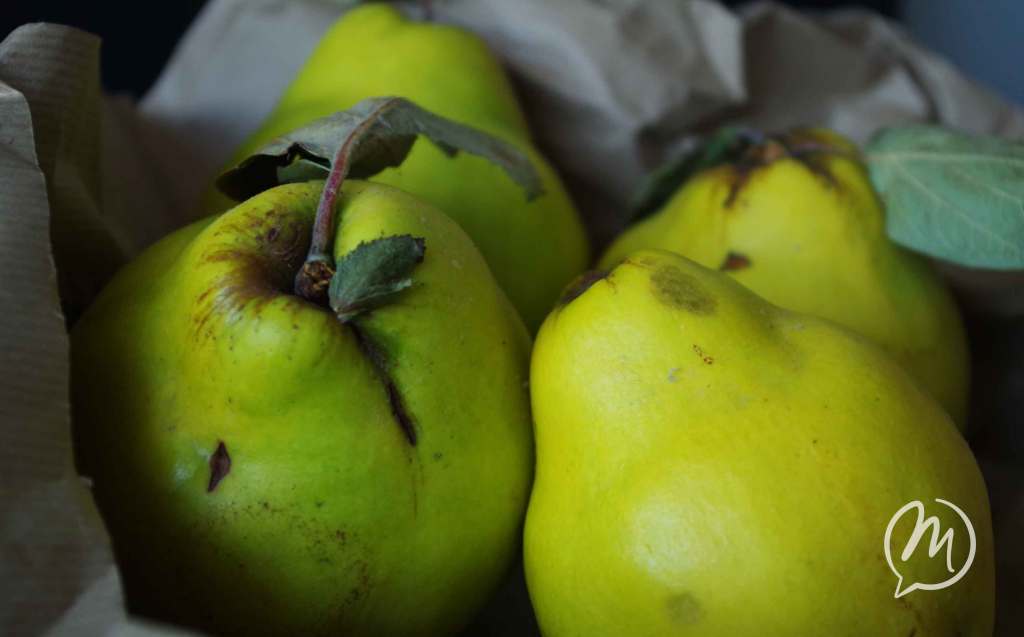 Pfannkuchen im Glas oder warum sind Quitten eigentlich&nbsp;unsexy?